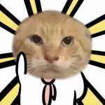 Xinsy的头像-棕熊云分享 - 专属年轻人的资源宝库